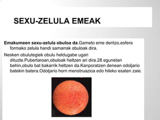 SEXU-ZELULA EMEAK

Emakumeen sexu-zelula obuloa da.Gameto eme deritzo,esfera
  formako zelula handi samarrak obuloak dira.
Nesken obulutegiek obulu heldugabe ugari
  dituzte.Pubertaroan,obuloak heltzen ari dira.28 egunetan
  behin,obulo bat bakarrik heltzen da.Kanporatzen denean odoljario
  batekin batera.Odoljario horri menstruazioa edo hileko esaten zaie.
 