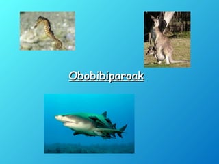 ObobibiparoakObobibiparoak
 