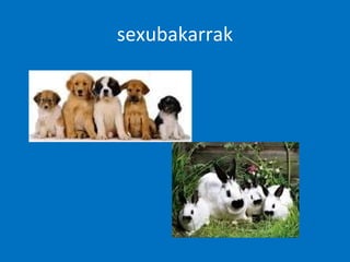 sexubakarrak
 