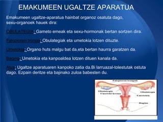 EMAKUMEEN UGALTZE APARATUA
Emakumeen ugaltze-aparatua hainbat organoz osatuta dago,
sexu-organoek hauek dira:

OBULATEGIA: Gameto emeak eta sexu-hormonak bertan sortzen dira.

Falopioren tronpa: Obulategiak eta umetokia lotzen dituzte.

Umetokia: Organo huts malgu bat da,eta bertan haurra garatzen da.

Bagina: Umetokia eta kanpoaldea lotzen dituen kanala da.

Alua: Ugaltze aparatuaren kanpoko zatia da.Bi larruazal-tolestutak ostuta
dago. Ezpain deritze eta bajinako zuloa babesten du.
 