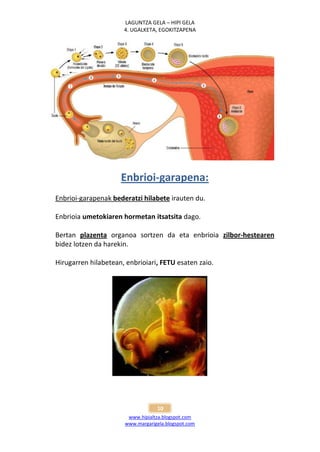 LAGUNTZA GELA – HIPI GELA
                      4. UGALKETA, EGOKITZAPENA




                     Enbrioi-garapena:
Enbrioi-garapenak bederatzi hilabete irauten du.

Enbrioia umetokiaren hormetan itsatsita dago.

Bertan plazenta organoa sortzen da eta enbrioia zilbor-hestearen
bidez lotzen da harekin.

Hirugarren hilabetean, enbrioiari, FETU esaten zaio.




                                  10
                       www.hipialtza.blogspot.com
                      www.margarigela.blogspot.com
 