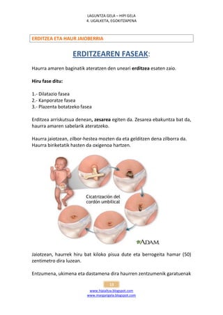 LAGUNTZA GELA – HIPI GELA
                         4. UGALKETA, EGOKITZAPENA



ERDITZEA ETA HAUR JAIOBERRIA


                   ERDITZEAREN FASEAK:
Haurra amaren baginatik ateratzen den uneari erditzea esaten zaio.

Hiru fase ditu:

1.- Dilatazio fasea
2.- Kanporatze fasea
3.- Plazenta botatzeko fasea

Erditzea arriskutsua denean, zesarea egiten da. Zesarea ebakuntza bat da,
haurra amaren sabelarik ateratzeko.

Haurra jaiotzean, zilbor-hestea mozten da eta gelditzen dena zilborra da.
Haurra biriketatik hasten da oxigenoa hartzen.




Jaiotzean, haurrek hiru bat kiloko pisua dute eta berrogeita hamar (50)
zentimetro dira luzean.

Entzumena, ukimena eta dastamena dira haurren zentzumenik garatuenak

                                      13
                           www.hipialtza.blogspot.com
                          www.margarigela.blogspot.com
 