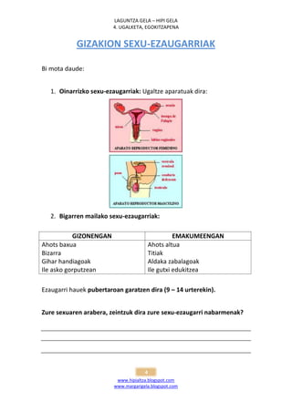 LAGUNTZA GELA – HIPI GELA
                         4. UGALKETA, EGOKITZAPENA


            GIZAKION SEXU-EZAUGARRIAK

Bi mota daude:


   1. Oinarrizko sexu-ezaugarriak: Ugaltze aparatuak dira:




   2. Bigarren mailako sexu-ezaugarriak:

           GIZONENGAN                               EMAKUMEENGAN
Ahots baxua                               Ahots altua
Bizarra                                   Titiak
Gihar handiagoak                          Aldaka zabalagoak
Ile asko gorputzean                       Ile gutxi edukitzea

Ezaugarri hauek pubertaroan garatzen dira (9 – 14 urterekin).


Zure sexuaren arabera, zeintzuk dira zure sexu-ezaugarri nabarmenak?




                                      4
                          www.hipialtza.blogspot.com
                         www.margarigela.blogspot.com
 