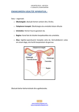 LAGUNTZA GELA – HIPI GELA
                        4. UGALKETA, EGOKITZAPENA


EMAKUMEEN UGALTZE APARATUA.-

Sexu – organoak:
  o Obulutegiak: obuluak hemen sortzen dira. Bi dira.

  o Falopioren tronpak: Obuklutegia eta umetokia lotzen dituzte

  o Umetokia: Hemen haurra garatzen da.

  o Bagina: Kanal bat da lotzeko kanpokoaldea eta umetokia.

  o Alua: Ugaltze-aparatuaren kanpoko zatia da. Gernubidearen zuloa
    ere aluan dago, eta hortik kanporatzen da gernua.




Obuluak behar-beharrezkoak dira ugalketarako.




                                     5
                         www.hipialtza.blogspot.com
                        www.margarigela.blogspot.com
 