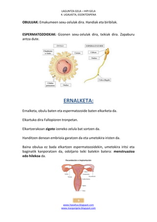 LAGUNTZA GELA – HIPI GELA
                         4. UGALKETA, EGOKITZAPENA

OBULUAK: Emakumeen sexu-zelulak dira. Handiak eta biribilak.


ESPERMATOZOIDEAK: Gizonen sexu-zelulak dira, txikiak dira. Zapaburu
antza dute.




                           ERNALKETA:
Ernalketa, obulu baten eta espermatozoide baten elkarketa da.

Elkartuko dira Fallopioren tronpetan.

Elkartzerakoan zigoto izeneko zelula bat sortzen da.

Handitzen denean embrioia garatzen da eta umetokira iristen da.

Baina obulua ez bada elkartzen espermatozoidekin, umetokira iritsi eta
baginatik kanporatzen da, odoljario txiki batekin batera: menstruazioa
edo hilekoa da.




                                        9
                           www.hipialtza.blogspot.com
                          www.margarigela.blogspot.com
 