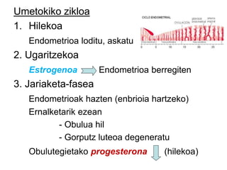 Umetokiko zikloa
1. Hilekoa
Endometrioa loditu, askatu
2. Ugaritzekoa
Estrogenoa Endometrioa berregiten
3. Jariaketa-fasea
Endometrioak hazten (enbrioia hartzeko)
Ernalketarik ezean
- Obulua hil
- Gorputz luteoa degeneratu
Obulutegietako progesterona (hilekoa)
 