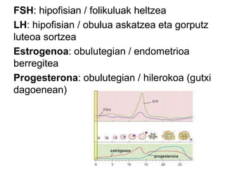 FSH: hipofisian / folikuluak heltzea
LH: hipofisian / obulua askatzea eta gorputz
luteoa sortzea
Estrogenoa: obulutegian / endometrioa
berregitea
Progesterona: obulutegian / hilerokoa (gutxi
dagoenean)
 