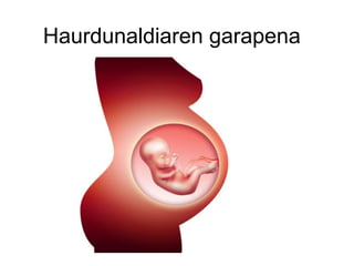 Haurdunaldiaren garapena
 