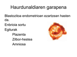 Haurdunaldiaren garapena
Blastozitoa endometrioan ezartzean hasten
da.
Enbrioia sortu
Egiturak
Plazenta
Zilbor-hestea
Amniosa
 