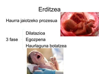 Erditzea
Haurra jaiotzeko prozesua
Dilatazioa
3 fase Egozpena
Haurlaguna botatzea
 