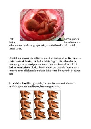 Izaki barria garatu
daiten, haurdunaldian
zehar emakumezkoen gorputzak garrantzi handiko aldaketak
izaten dauz.
Umetokian karena eta boltsa amniotikoa sartzen dira. Karena eta
izaki barria zil hestearen bidez lotuta dagoz, eta behar dauzan
mantenugaiak eta oxigenoa emoten deutsoz karenak umekiari.
Boltsa amniotikoa likidoz beteta dago, eta umekia inguratu eta
temperaturea aldaketatik eta izan daitekezan kolpeetatik babesten
dau.
Sabelaldea handitu egiten da, karena, boltsa amniotikoa eta
umekia, gero eta handiagoa, barruan gordeteko.
 