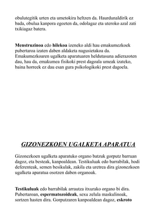 obulutegitik urten eta umetokira heltzen da. Haurdunaldirik ez
bada, obulua kanpora egozten da, odolagaz eta uteroko azal zati
txikiagaz batera.
Menstruzinoa edo hilekoa izeneko aldi hau emakumezkoek
pubertaroa izaten daben aldaketa nagusietakoa da.
Emakumezkoaren ugalketa aparatuaren heldutasuna adierazoten
dau, hau da, emakumea fisikoki prest dagoala umeak izateko,
baina horreek ez dau esan gura psikologikoki prest dagoela.
GIZONEZKOEN UGALKETA APARATUA
Gizonezkoen ugalketa aparatuko organo batzuk gorputz barruan
dagoz, eta besteak, kanpoaldean. Testikuluak edo barrabilak, hodi
deferenteak, semen besikulak, zakila eta uretrea dira gizonezkoen
ugalketa aparatua osotzen daben organoak.
Testikuluak edo barrabilak arrautza itxurako organo bi dira.
Pubertaroan, espermatozoideak, sexu zelula maskulinoak,
sortzen hasten dira. Gorputzaren kanpoaldean dagoz, eskroto
 