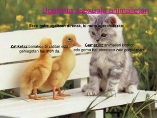 Ugalketa asexuala animalietan Zatiketaz :banakoa bi zatitan edo gehiagotan hausten da. Gemazioz :animaliari koskor edo gema bat ateratzen zaio gorputzean.  Sexu gabe ugaltzen direnak, bi mota ager daitezke: 