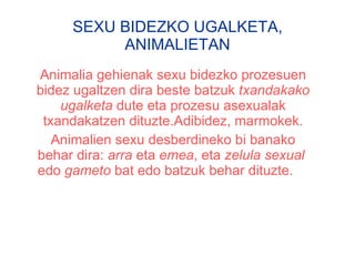 SEXU BIDEZKO UGALKETA, ANIMALIETAN Animalia gehienak sexu bidezko prozesuen bidez ugaltzen dira beste batzuk  txandakako ugalketa  dute eta prozesu asexualak txandakatzen dituzte.Adibidez, marmokek. Animalien sexu desberdineko bi banako behar dira:  arra  eta  emea , eta  zelula sexual  edo  gameto  bat edo batzuk behar dituzte.  