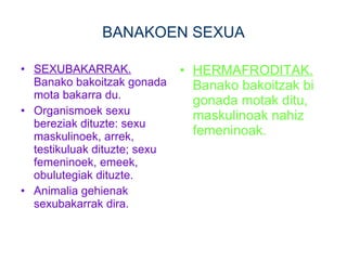 BANAKOEN SEXUA SEXUBAKARRAK.  Banako bakoitzak gonada mota bakarra du. Organismoek sexu bereziak dituzte: sexu maskulinoek, arrek, testikuluak dituzte; sexu femeninoek, emeek, obulutegiak dituzte. Animalia gehienak sexubakarrak dira. HERMAFRODITAK.  Banako bakoitzak bi gonada motak ditu, maskulinoak nahiz femeninoak. 