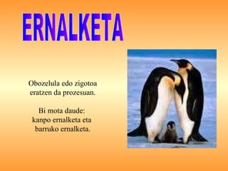 ERNALKETA Obozelula edo zigotoa eratzen da prozesuan. Bi mota daude:  kanpo ernalketa eta  barruko ernalketa. 