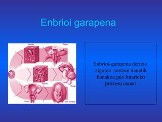 Enbrioi garapena Enbrioi-garapena deritzo  zigotoa  sortzen denetik banakoa jaio bitarteko prozesu osoari 
