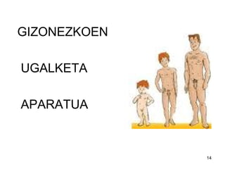 14
GIZONEZKOEN
UGALKETA
APARATUA
 