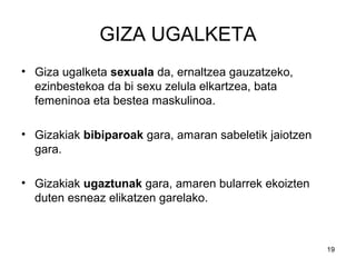 19
GIZA UGALKETA
• Giza ugalketa sexuala da, ernaltzea gauzatzeko,
ezinbestekoa da bi sexu zelula elkartzea, bata
femeninoa eta bestea maskulinoa.
• Gizakiak bibiparoak gara, amaran sabeletik jaiotzen
gara.
• Gizakiak ugaztunak gara, amaren bularrek ekoizten
duten esneaz elikatzen garelako.
 