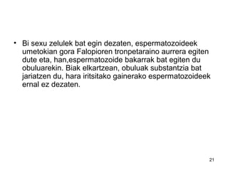 21
• Bi sexu zelulek bat egin dezaten, espermatozoideek
umetokian gora Falopioren tronpetaraino aurrera egiten
dute eta, han,espermatozoide bakarrak bat egiten du
obuluarekin. Biak elkartzean, obuluak substantzia bat
jariatzen du, hara iritsitako gainerako espermatozoideek
ernal ez dezaten.
 