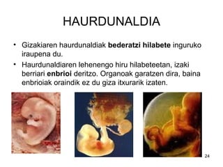 24
HAURDUNALDIA
• Gizakiaren haurdunaldiak bederatzi hilabete inguruko
iraupena du.
• Haurdunaldiaren lehenengo hiru hilabeteetan, izaki
berriari enbrioi deritzo. Organoak garatzen dira, baina
enbrioiak oraindik ez du giza itxurarik izaten.
 