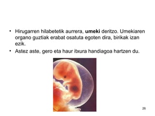 26
• Hirugarren hilabetetik aurrera, umeki deritzo. Umekiaren
organo guztiak erabat osatuta egoten dira, birikak izan
ezik.
• Astez aste, gero eta haur itxura handiagoa hartzen du.
 