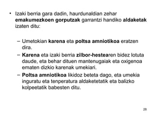 28
• Izaki berria gara dadin, haurdunaldian zehar
emakumezkoen gorputzak garrantzi handiko aldaketak
izaten ditu:
– Umetokian karena eta poltsa amniotikoa eratzen
dira.
– Karena eta izaki berria zilbor-hestearen bidez lotuta
daude, eta behar dituen mantenugaiak eta oxigenoa
ematen dizkio karenak umekiari.
– Poltsa amniotikoa likidoz beteta dago, eta umekia
inguratu eta tenperatura aldaketetatik eta balizko
kolpeetatik babesten ditu.
 