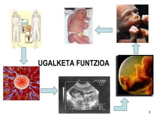 3
UGALKETA FUNTZIOA
 