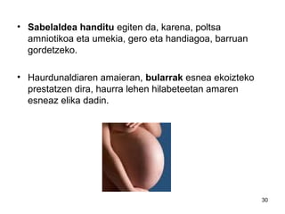 30
• Sabelaldea handitu egiten da, karena, poltsa
amniotikoa eta umekia, gero eta handiagoa, barruan
gordetzeko.
• Haurdunaldiaren amaieran, bularrak esnea ekoizteko
prestatzen dira, haurra lehen hilabeteetan amaren
esneaz elika dadin.
 
