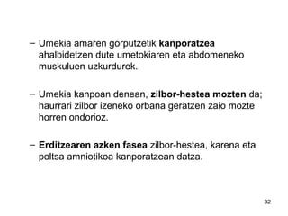32
– Umekia amaren gorputzetik kanporatzea
ahalbidetzen dute umetokiaren eta abdomeneko
muskuluen uzkurdurek.
– Umekia kanpoan denean, zilbor-hestea mozten da;
haurrari zilbor izeneko orbana geratzen zaio mozte
horren ondorioz.
– Erditzearen azken fasea zilbor-hestea, karena eta
poltsa amniotikoa kanporatzean datza.
 