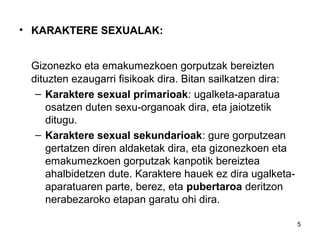 5
• KARAKTERE SEXUALAK:
Gizonezko eta emakumezkoen gorputzak bereizten
dituzten ezaugarri fisikoak dira. Bitan sailkatzen dira:
– Karaktere sexual primarioak: ugalketa-aparatua
osatzen duten sexu-organoak dira, eta jaiotzetik
ditugu.
– Karaktere sexual sekundarioak: gure gorputzean
gertatzen diren aldaketak dira, eta gizonezkoen eta
emakumezkoen gorputzak kanpotik bereiztea
ahalbidetzen dute. Karaktere hauek ez dira ugalketa-
aparatuaren parte, berez, eta pubertaroa deritzon
nerabezaroko etapan garatu ohi dira.
 