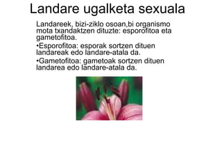 Landare ugalketa sexuala Landareek, bizi-ziklo osoan,bi organismo mota txandaktzen dituzte: esporofitoa eta gametofitoa.  Esporofitoa: esporak sortzen dituen landareak edo landare-atala da. Gametofitoa: gametoak sortzen dituen landarea edo landare-atala da. 