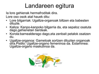 Landareen egitura Ia lore gehienak hermafroditak dira. Lore oso osok atal hauek ditu: Lore bilgarriak: Ugaltze-organoak biltzen eta babesten dituzte. Kaliza: Kanpo-kanpoko bilgarria da, eta sepaloz osatuta dago,gehienetan berdeak. Korola:barnealderago dago,eta zenbait petalok osatzen du. Ugaltze-organoa: Gametoak sortzen dituzten organoak dira.Pistilo: Ugaltze-organo femeninoa da. Estaminea: Ugaltze-organo maskulinoa da. 