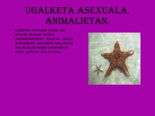 Ugalketa asexuala, animalietan. Ugalketa asexuala izatea oso arrunta da izaki bizidun zelulabakarretan, baina ez, ordea, animalietan: animalirik bakunenak eta eboluzio-maila txikienekoak soilik ugaltzen dira horrela. 
