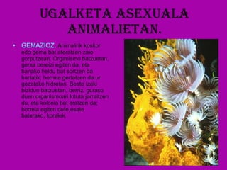 Ugalketa asexuala animalietan . GEMAZIOZ.  Animalirik koskor edo gema bat ateratzen zaio gorputzean. Organismo batzuetan, gema bereizi egiten da, eta banako heldu bat sortzen da hartatik; horrela gertatzen da ur gezatako hidretan. Beste izaki bizidun batzuetan, berriz, guraso duen organismoari lotuta jarraitzen du, eta kolonia bat eratzen da; horrela egiten dute,esate baterako, koralek . 