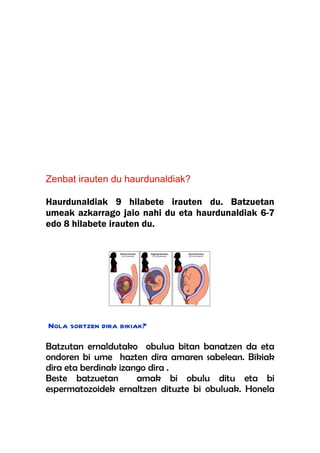 Zenbat irauten du haurdunaldiak?

Haurdunaldiak 9 hilabete irauten du. Batzuetan
umeak azkarrago jaio nahi du eta haurdunaldiak 6-7
edo 8 hilabete irauten du.




Nola sortzen dira bikiak?

Batzutan ernaldutako obulua bitan banatzen da eta
ondoren bi ume hazten dira amaren sabelean. Bikiak
dira eta berdinak izango dira .
Beste batzuetan       amak bi obulu ditu eta bi
espermatozoidek ernaltzen dituzte bi obuluak. Honela
 
