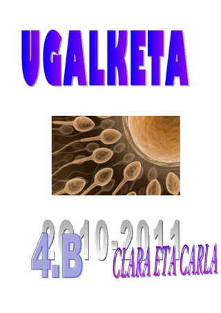 Ugalketa gela osoa
