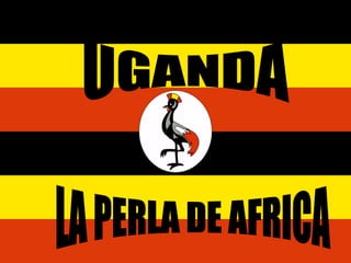 UGANDA LA PERLA DE AFRICA 
