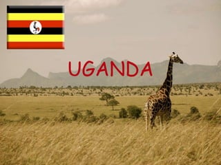 UGANDA
 