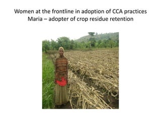 Women at the frontline in adoption of CCA practices
Maria – adopter of crop residue retention
 