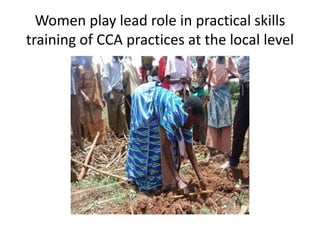 Targeting Women has yielded results
CCA Field Days register more
Women participation
Women Leading in
demonstrating CCA pr...