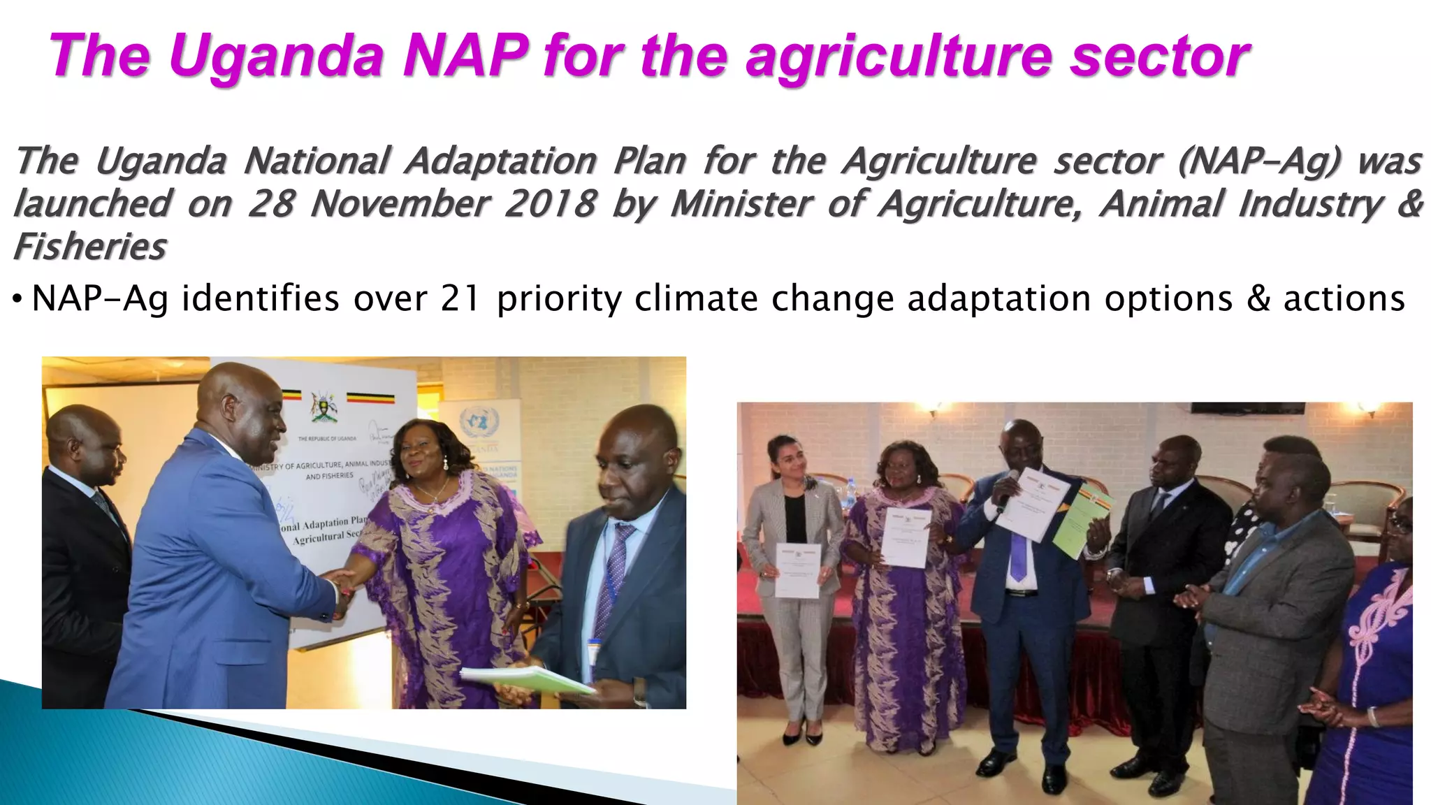 The Uganda National Adaptation Plan for the Agriculture sector (NAP-Ag) was
launched on 28 November 2018 by Minister of Agriculture, Animal Industry &
Fisheries
• NAP-Ag identifies over 21 priority climate change adaptation options & actions
The Uganda NAP for the agriculture sector
 