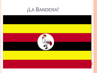 ¡LA BANDERA!