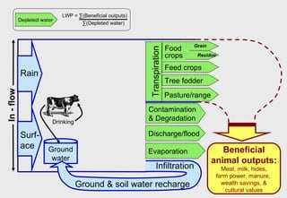 Towards an understanding of livestock water productivity in the Nile River Basin