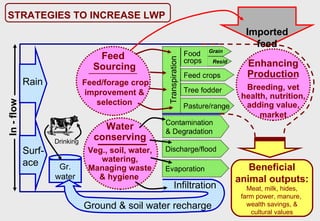 Towards an understanding of livestock water productivity in the Nile River Basin