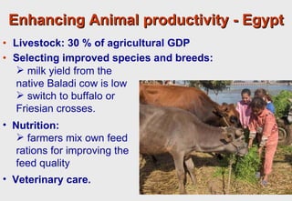 Towards an understanding of livestock water productivity in the Nile River Basin