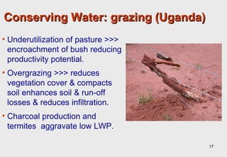 Towards an understanding of livestock water productivity in the Nile River Basin