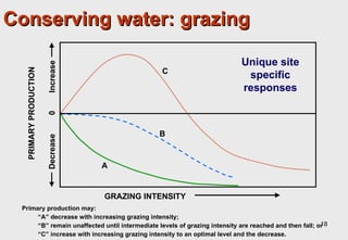 Towards an understanding of livestock water productivity in the Nile River Basin