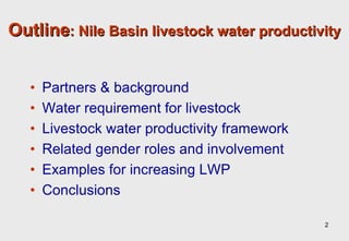 Towards an understanding of livestock water productivity in the Nile River Basin