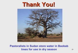 Towards an understanding of livestock water productivity in the Nile River Basin